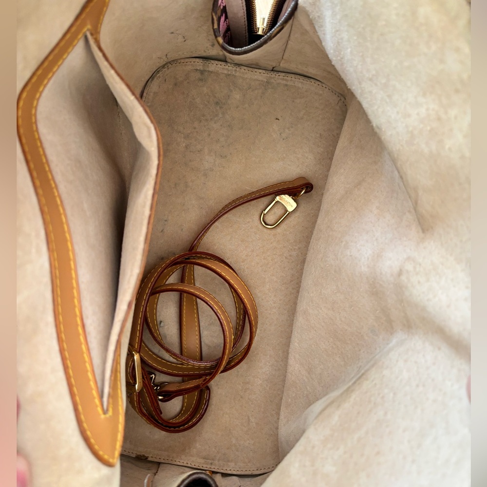 Luis Vuitton  bag